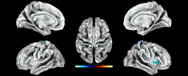 For the first time, scientists map brain regions responding to the clitoris