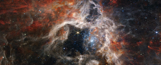 The Tarantula Nebula.
