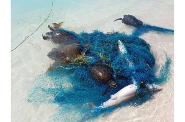 The Fishing Line Lost At Sea In A Year Could Wrap Around Earth 18 Times 