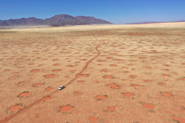 The Surreal Mystery of Namibia's 'Fairy Circles' May Finally Be