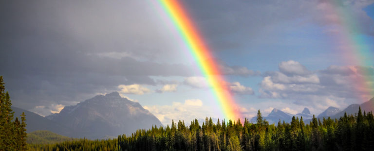 Why All The Colors of The Rainbow Doesn't Include Black, Brown, And ...