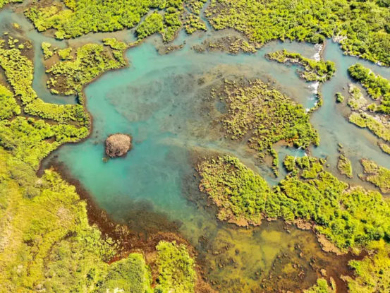 Satellite Images Reveal Beavers Are Transforming The Arctic 