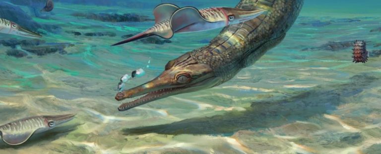 Ancient Jurassic Predator Emerged From Ghost Ancestor, Scientists Say ...