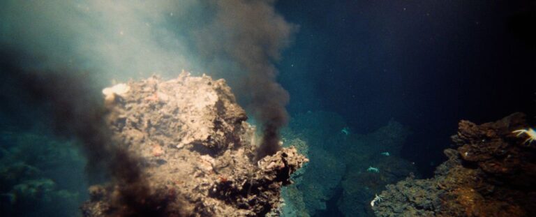 bacteria-found-riding-the-plumes-of-deep-sea-vents-hint-at-how-ancient