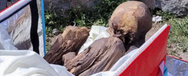 Former Delivery Man Found With A 600 Year Old Mummy 'Girlfriend' In His ...