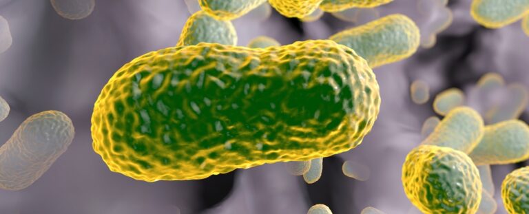 Forgotten Antibiotic From Decades Past May Be a Superbug Killer ...