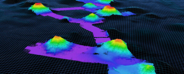 Almost 20 000 Ancient Volcanoes Discovered At The Bottom Of The Ocean