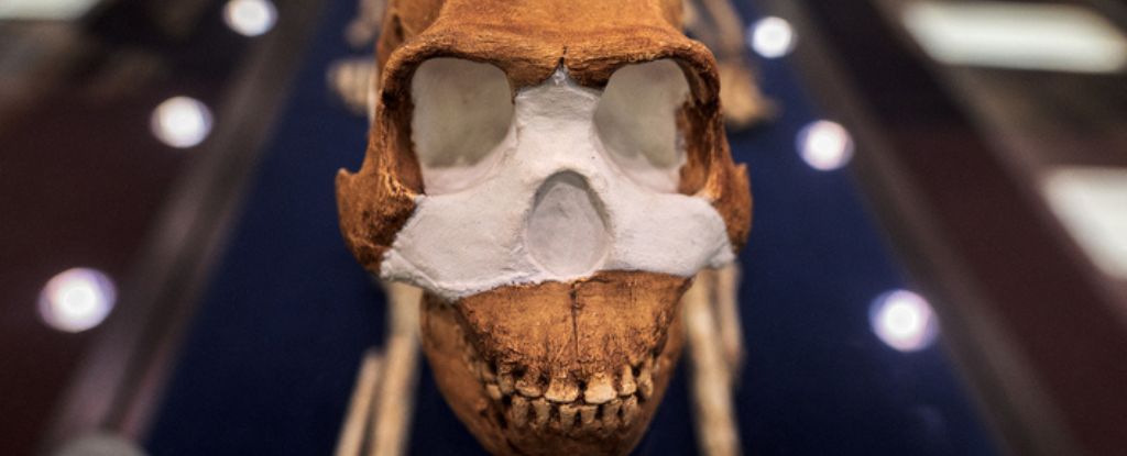 أقدم موقع دفن معروف في العالم لم يتم إنشاؤه بواسطة جنسنا البشري: ScienceAlert