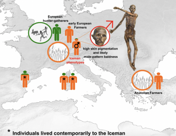 The Famous 'Iceman' Ötzi Is Not Who We Thought He Was : ScienceAlert