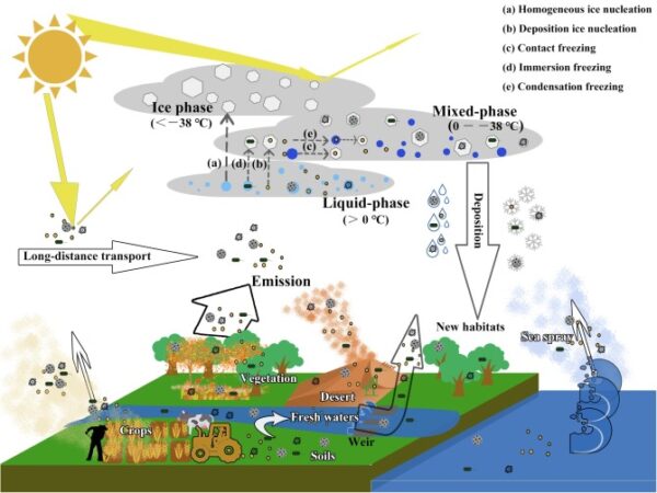 Tiny Biological Particles Are Influencing Cloud Formation Over The ...