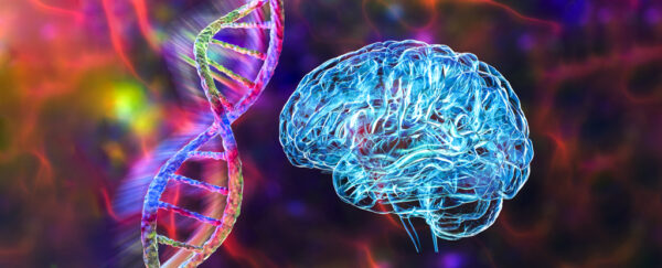 ADHD's Genetic Mystery Unraveled: Single Variations May Explain Half of ...