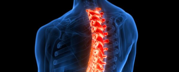 The Spinal Cord Could Provide a Radical New Way to Treat Depression ...