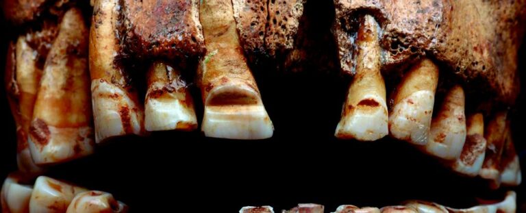 Vikings Filed Grooves Into Their Teeth as an Unusual Form of ID ...