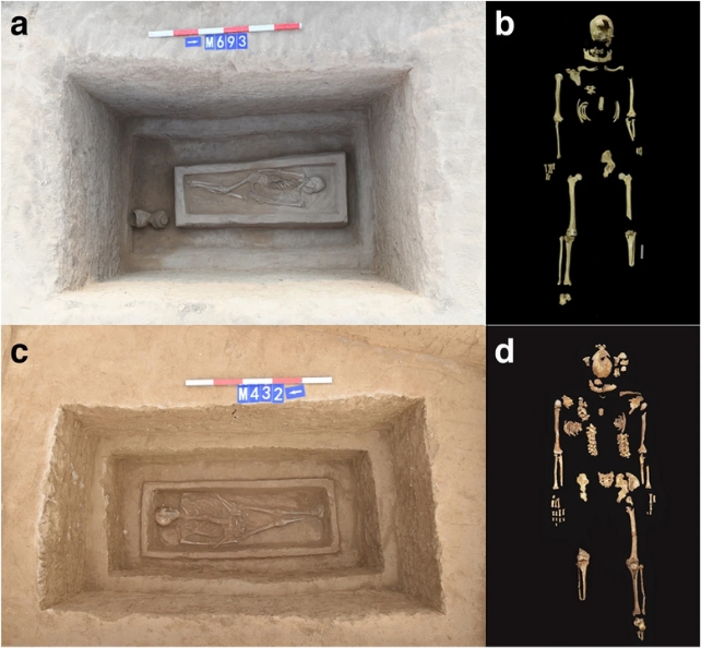 Two tombs containing skeletons, next to images of skeletons