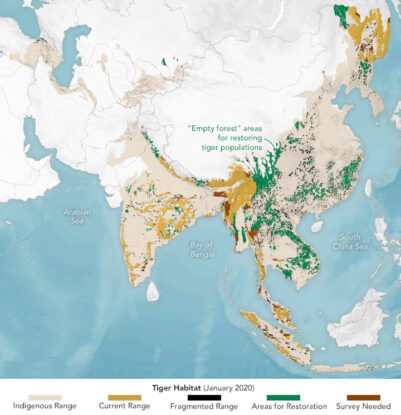 NASA Is Using Powerful Satellites To Watch Over Endangered Species ...