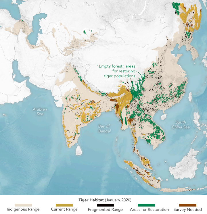 Map of past, current and potential tiger habitat