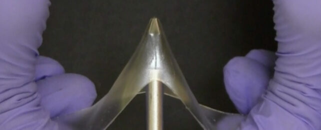 Transparent material stretched over metal spike with gloved hands.