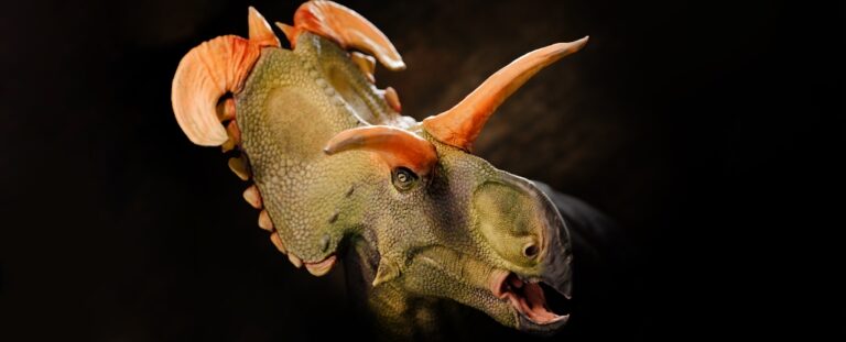 Newly Found Dinosaur Lokiceratops Had Insane Horns Unlike Any Other ...