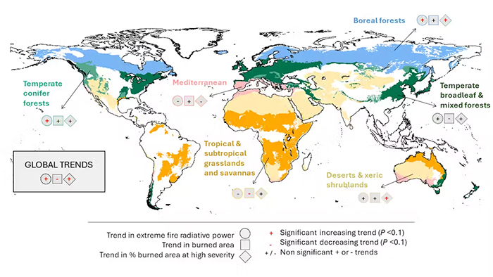 Map showing areas with increasing extreme fires globally