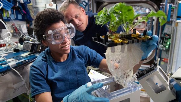 Two people holding up a plant in the space station