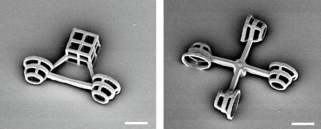 Microestructuras para algas