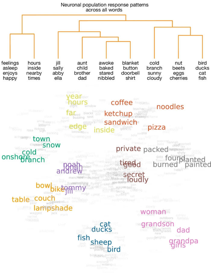 Древовидная диаграмма и цветовые группы слов