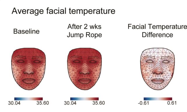 The thermal facial map of participants before and after two weeks of daily jump rope. (Yu et al., Cell Metabolism, 2024)