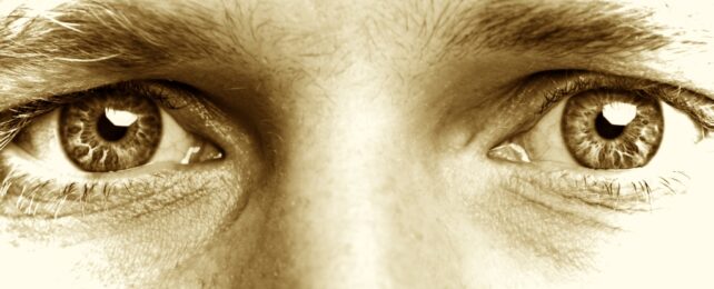 Man Eyes Sepia