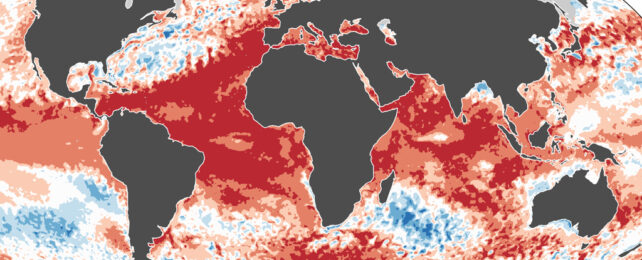 Map showing Sea surface temperature anomalies