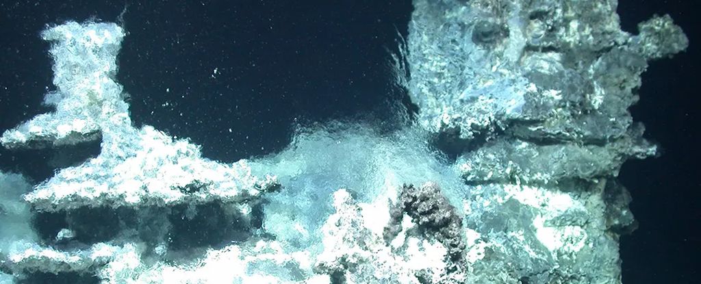 Entdecken Sie eine erstaunliche hydrothermale Umgebung in den Tiefen des Ozeans: ScienceAlert