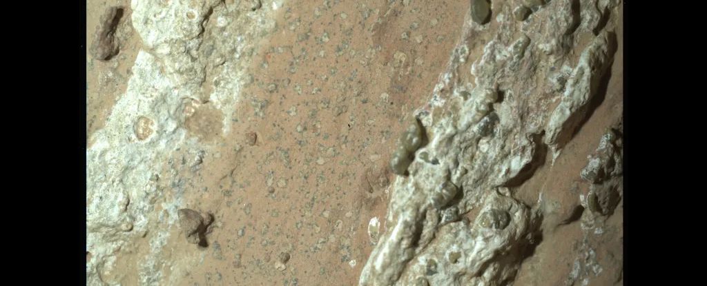 Weird Rock on Mars May Actually Show Signs of Ancient Life : ScienceAlert