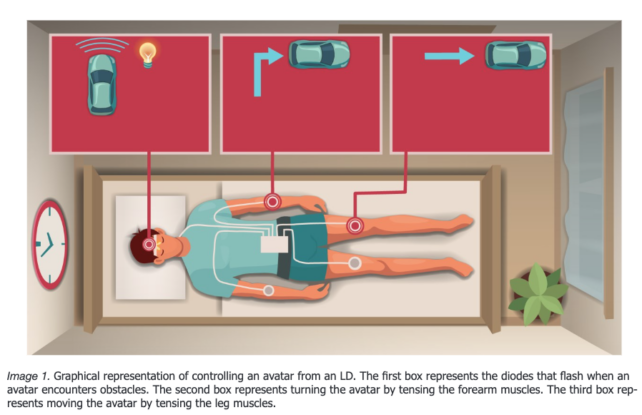 Lucid Dreaming Study