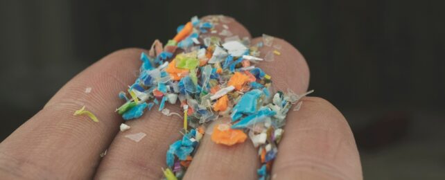 Fingers with colored plastic particles on them