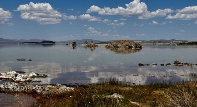 A lake with reeds and small islands