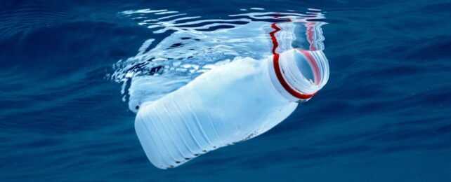 New 'Living Plastic' Self-Destructs Once It's Thrown Away