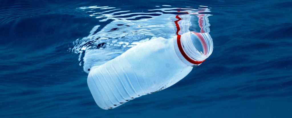 New ‘Living Plastic’ Self-Destructs Once It’s Thrown Away : ScienceAlert