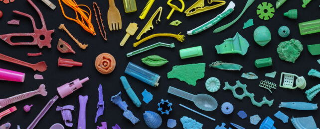 a rainbow arrangement of decaying plastic waste