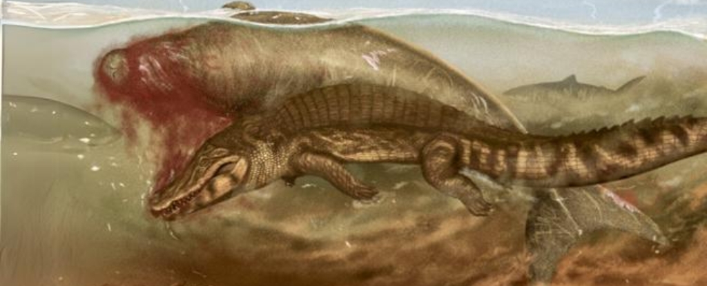 20 million years ago, this manatee was eaten by a crocodile and a shark: ScienceAlert