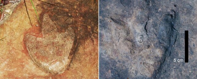 Matching Dinosaur Footprints Found 3,700 Miles Apart Reveal Earth's Past