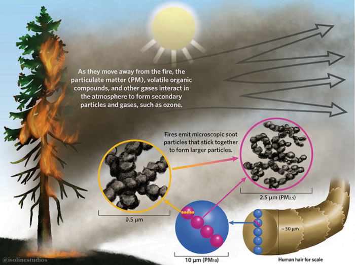 Diagram showing the properties of smoke particles.