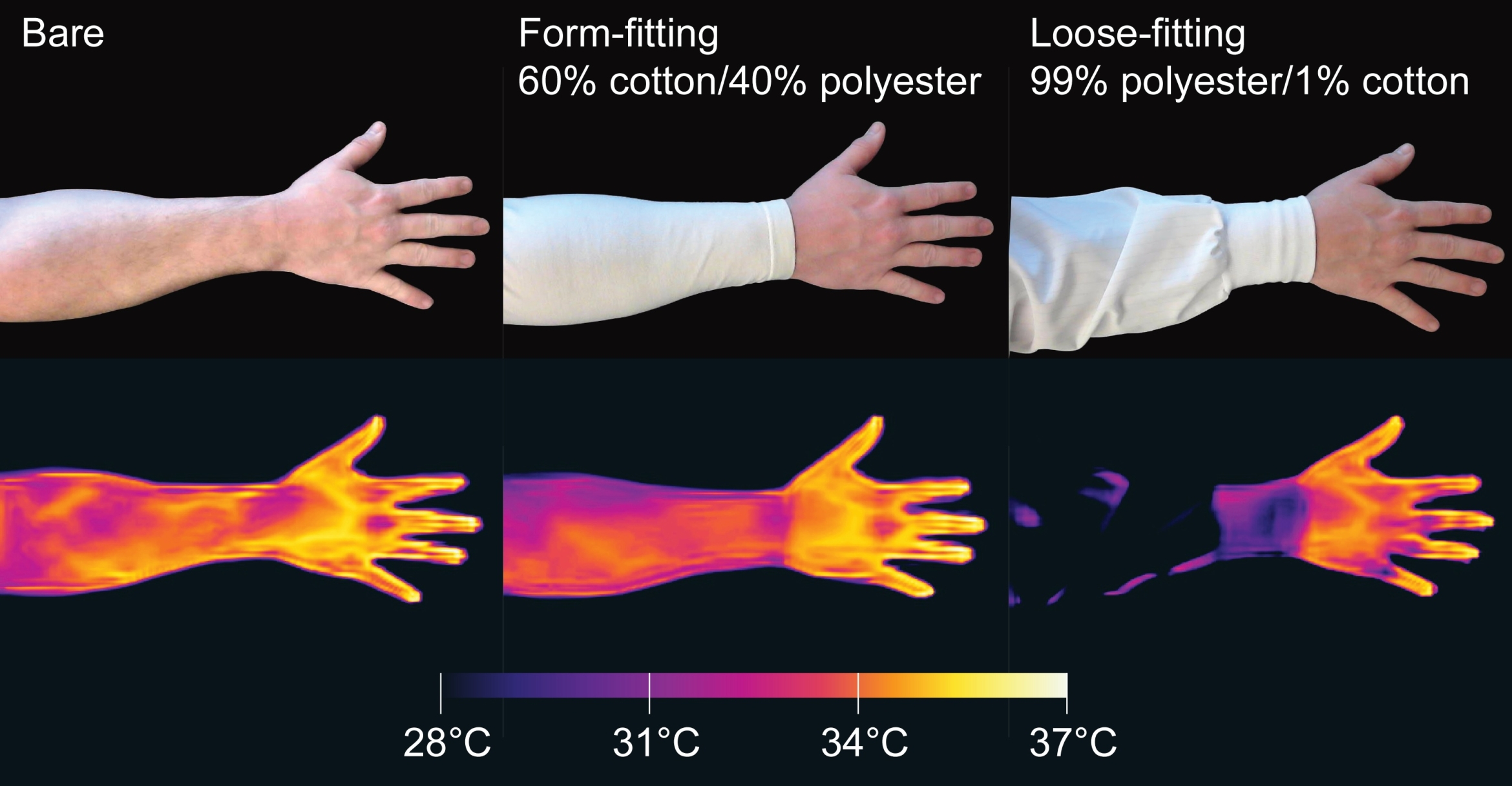 Scientists Uncover Mosquitoes Are The usage of Infrared to Monitor People Down