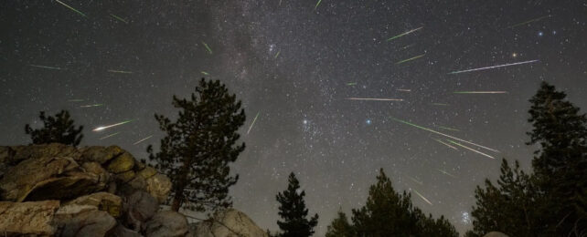 meteors streaking over a treeline