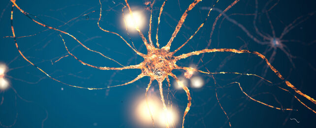 Glowing neuron