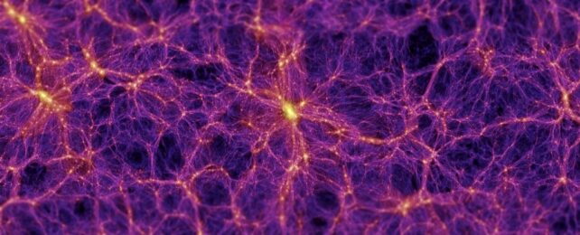 Cosmic Web Simulation