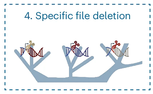 DNA deletion