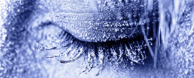 Frozen Eyelashes