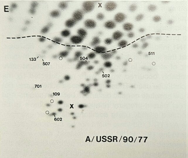 Genetic fingerprint of the Russian flu