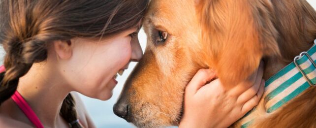 Dogs' Brains Sync With Ours When We Gaze Into Their Eyes, Study Finds