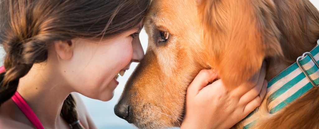 Dogs’ Brains Sync With Ours When We Gaze Into Their Eyes, Study Finds : ScienceAlert