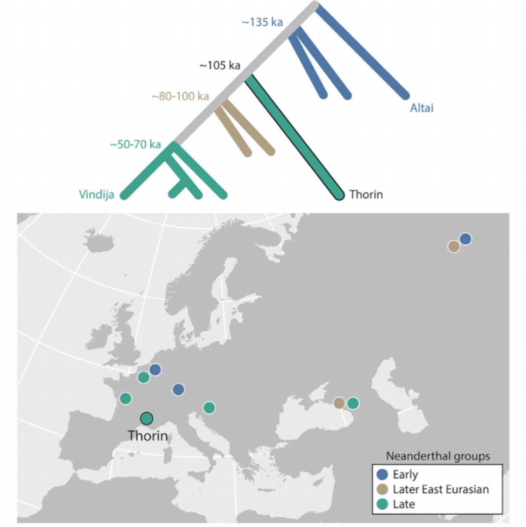 Map of late neanderthal distribution